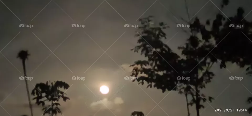 moon