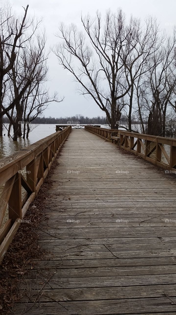 Bridge Arkanzas. Enjoy the nature