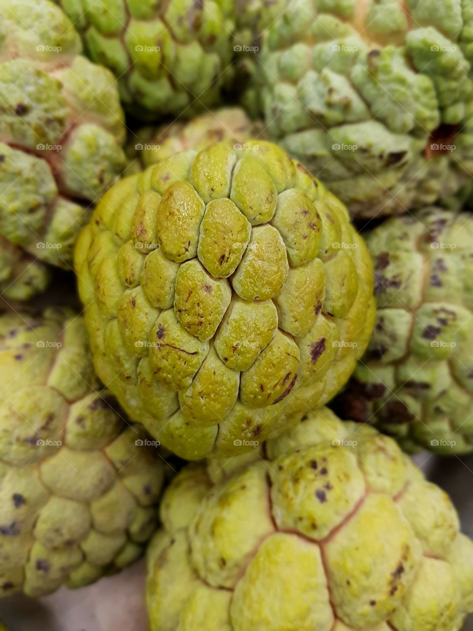 Fruta do Conde  - Annona Squamosa