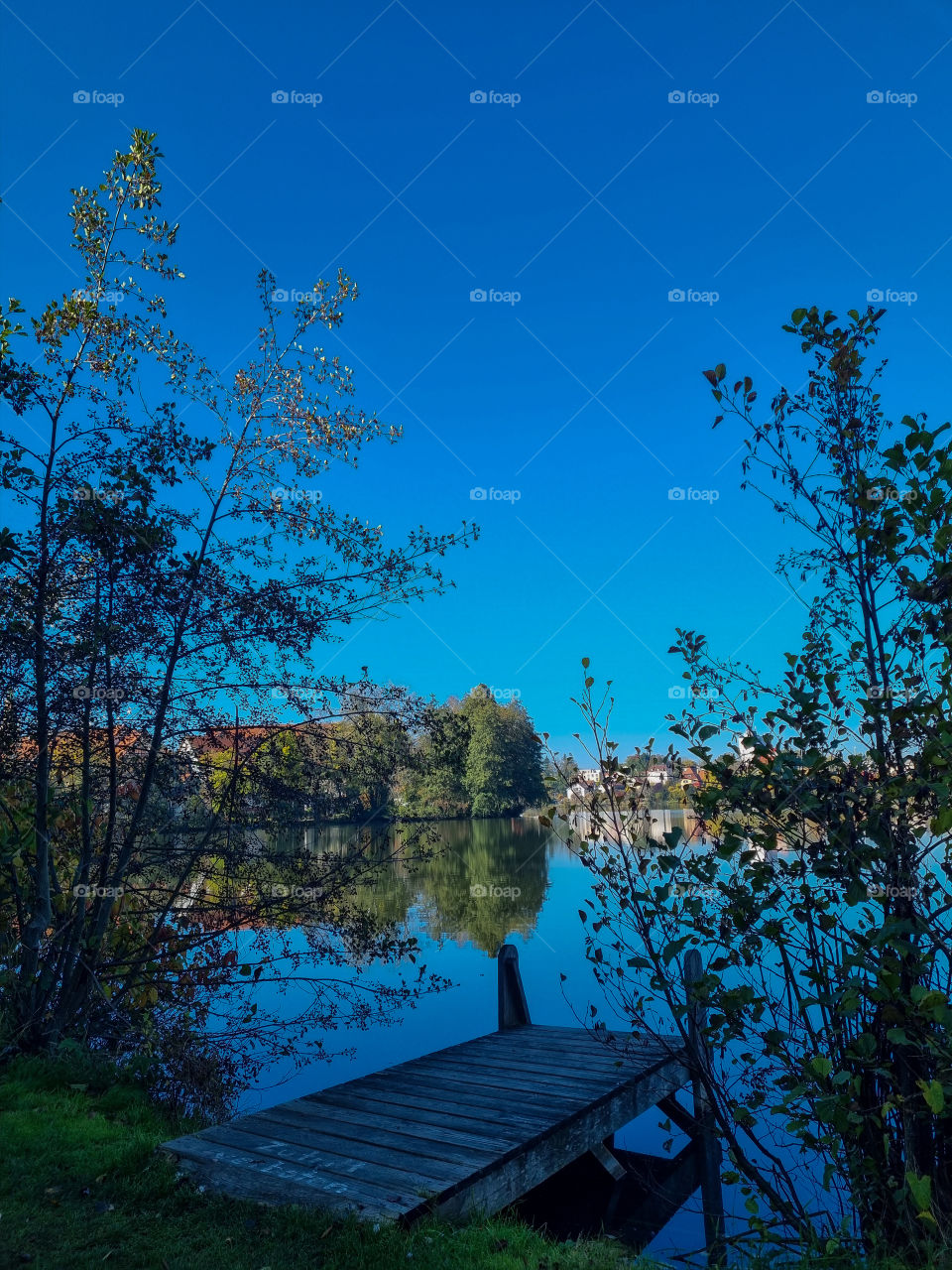 I went on a walk near the lake and this scenery was absolutely breathtaking. I had to capture it. This is what inspired me to dedicate my time to photography. Capturing a moment in time, impossible to reproduce.