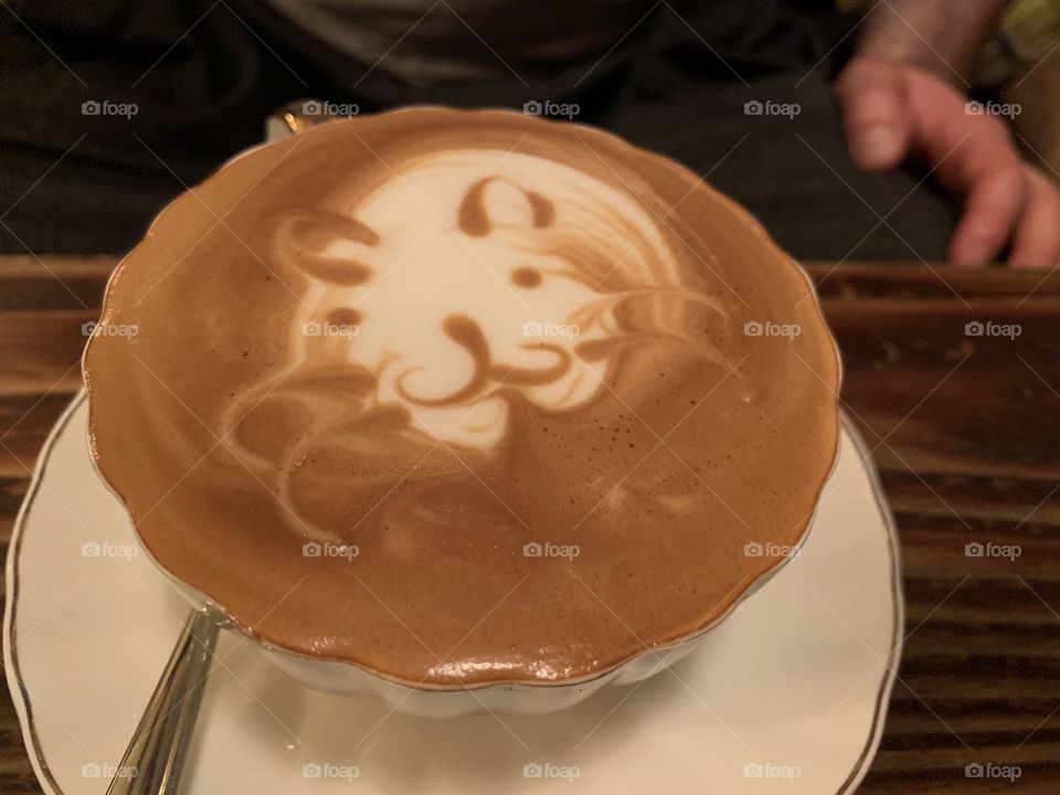 Lion lurking  in a cup of coffee-high angle view 