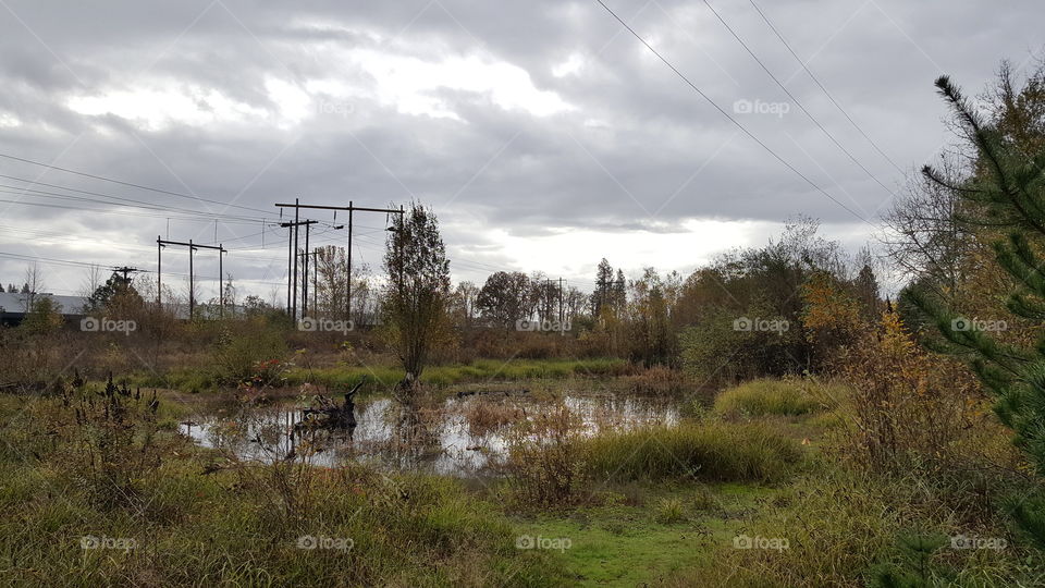 small pond with veiw of the power lines