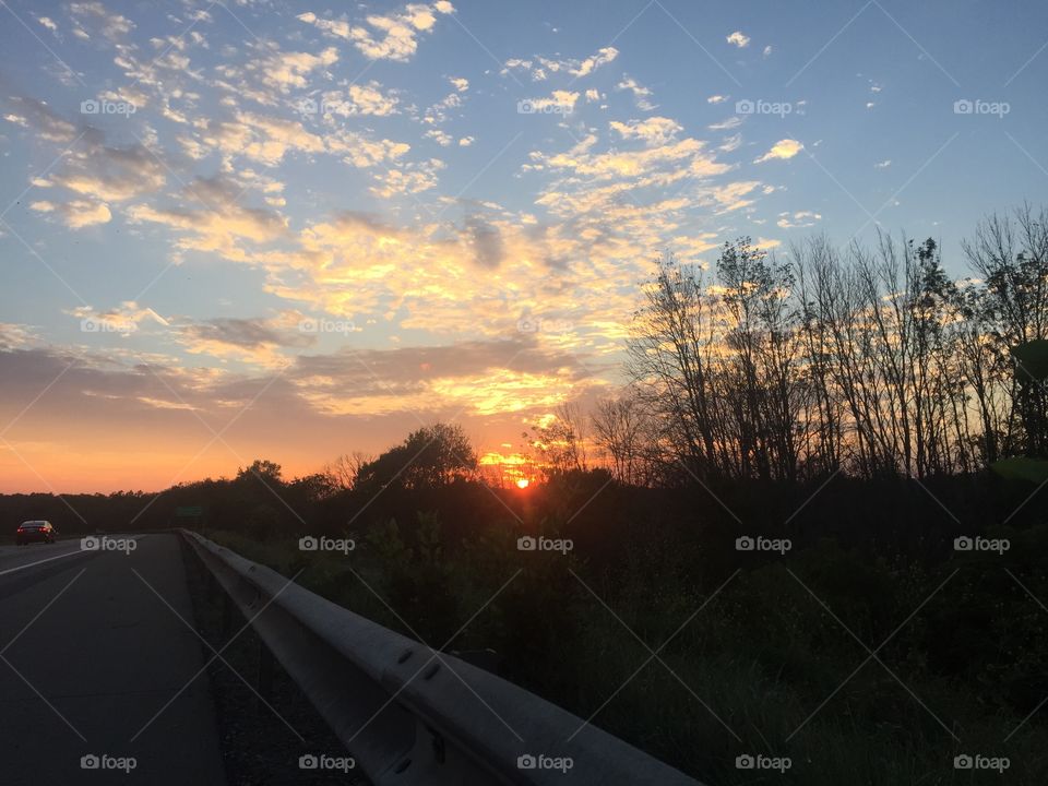 Trees in silhouette . On my trip home 