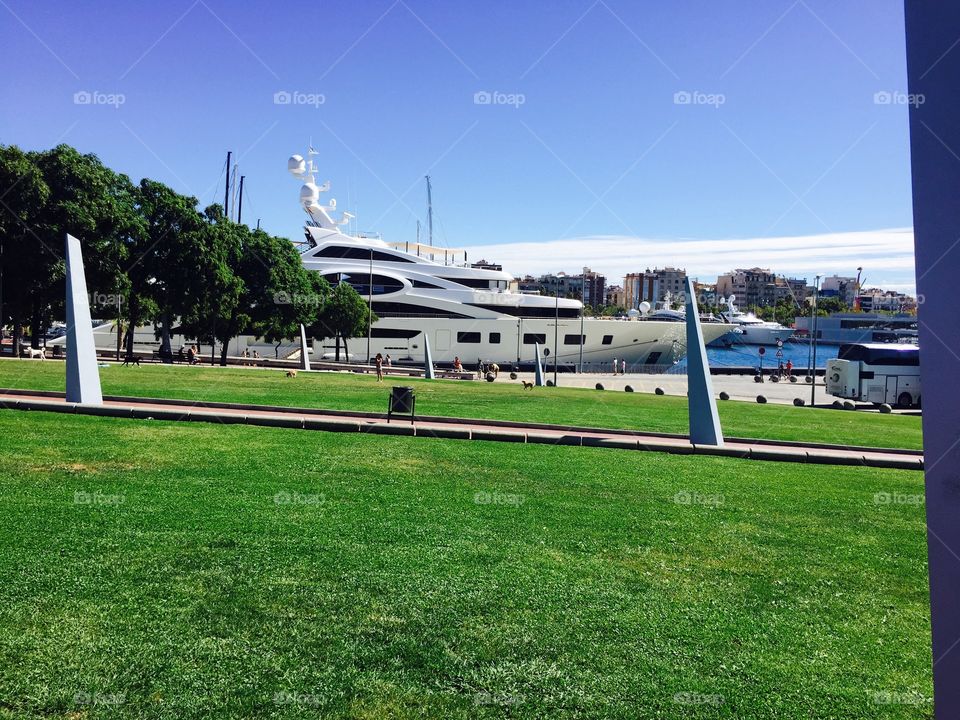 Lawn, Grass, Competition, Travel, Landscape