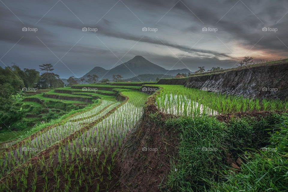 scenic view of selotapak terraces during cloudy morning