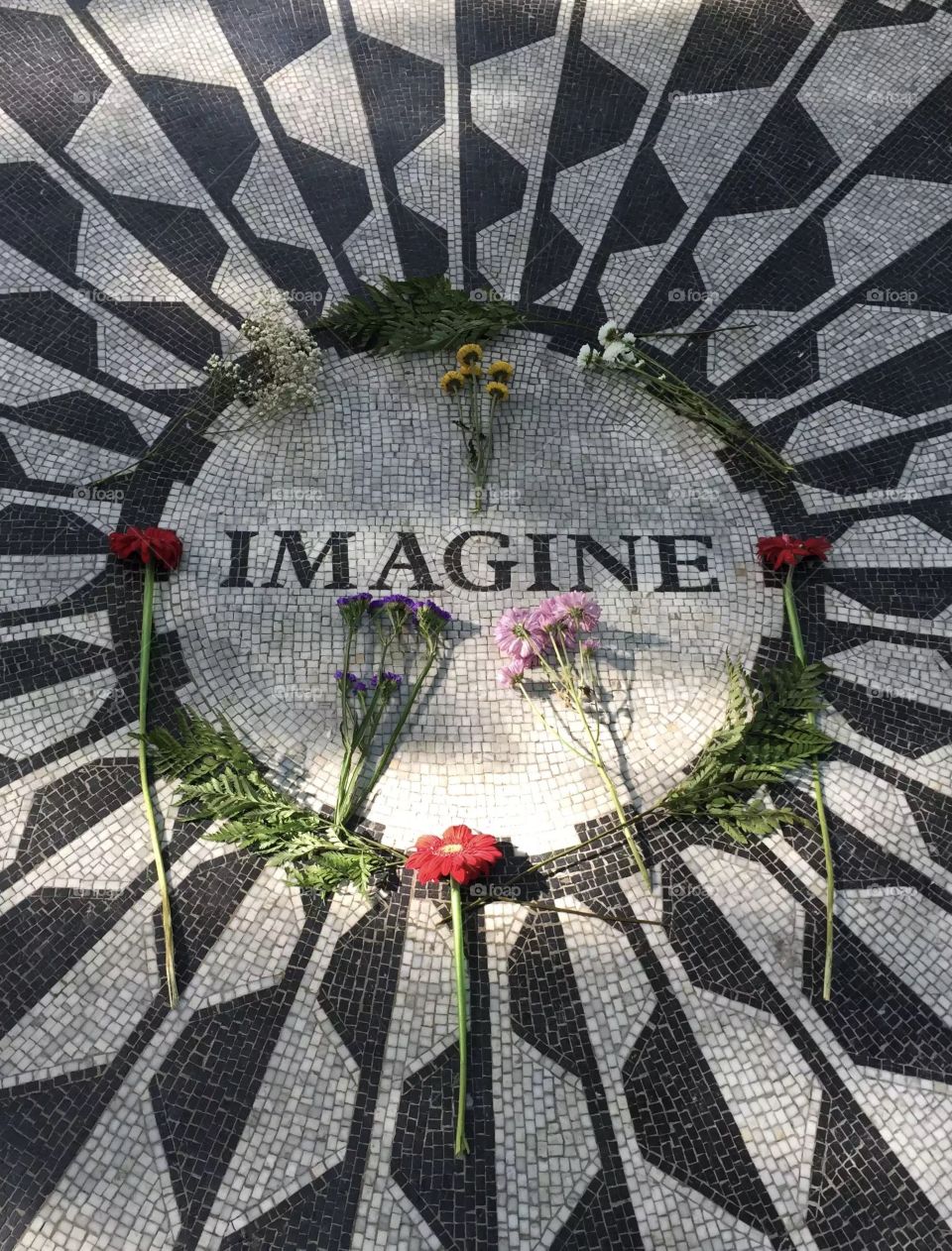 Strawberry fields forever 
Central Park 