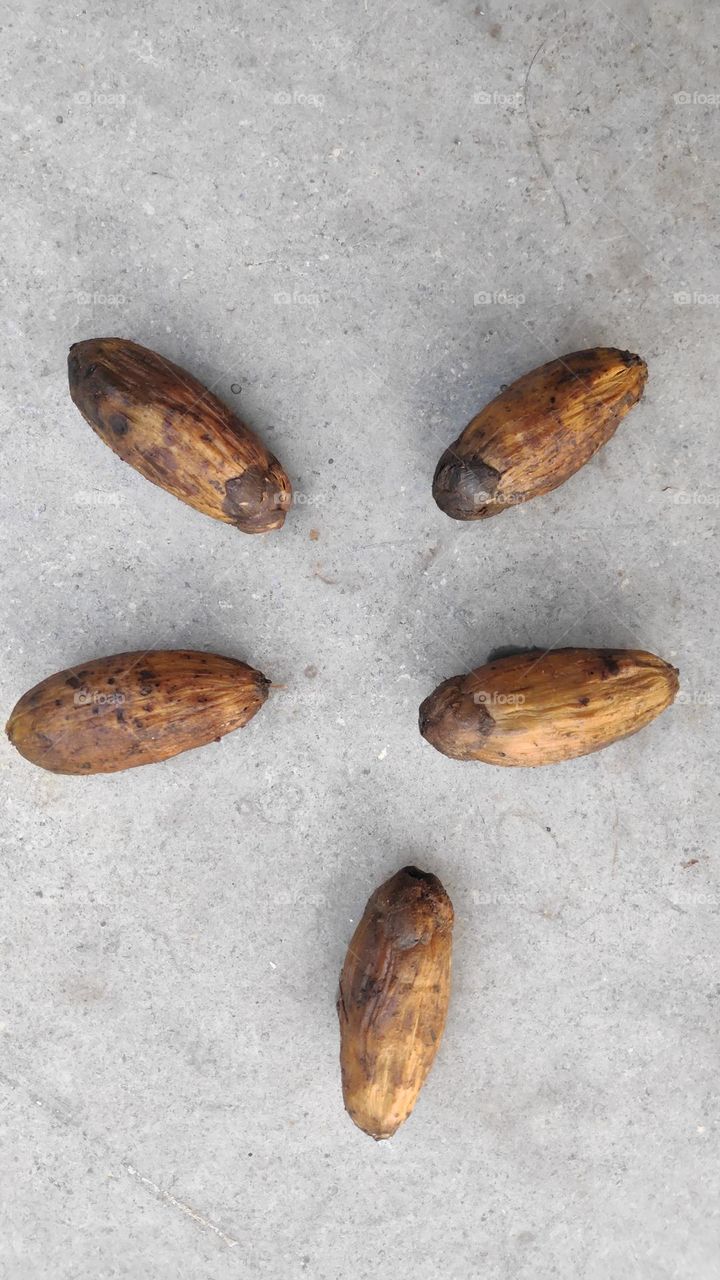 Areca Nuts