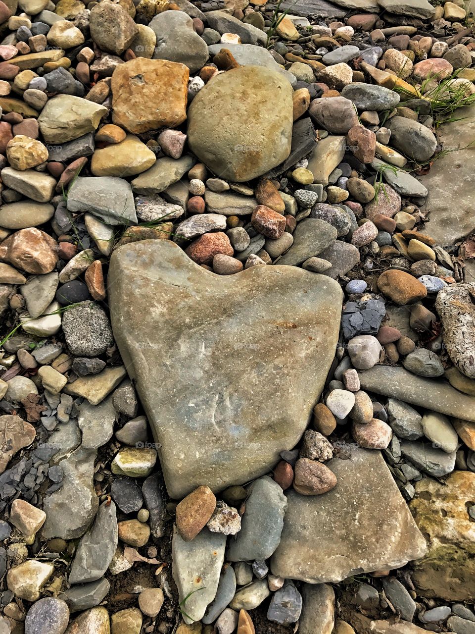 Heart shaped rock