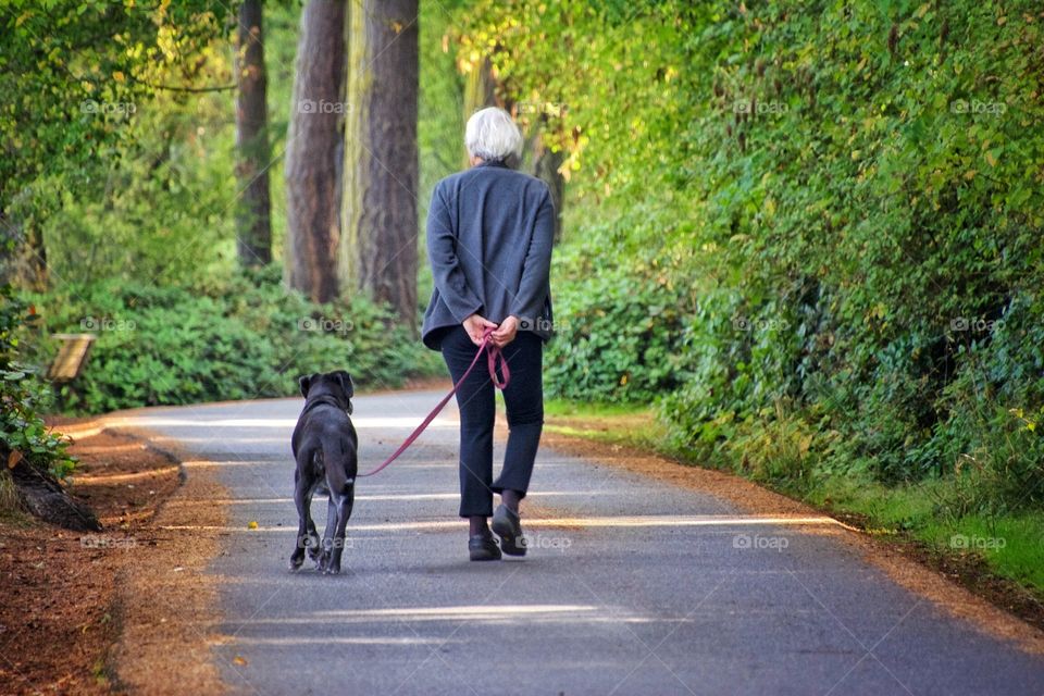 Walking in the woods 