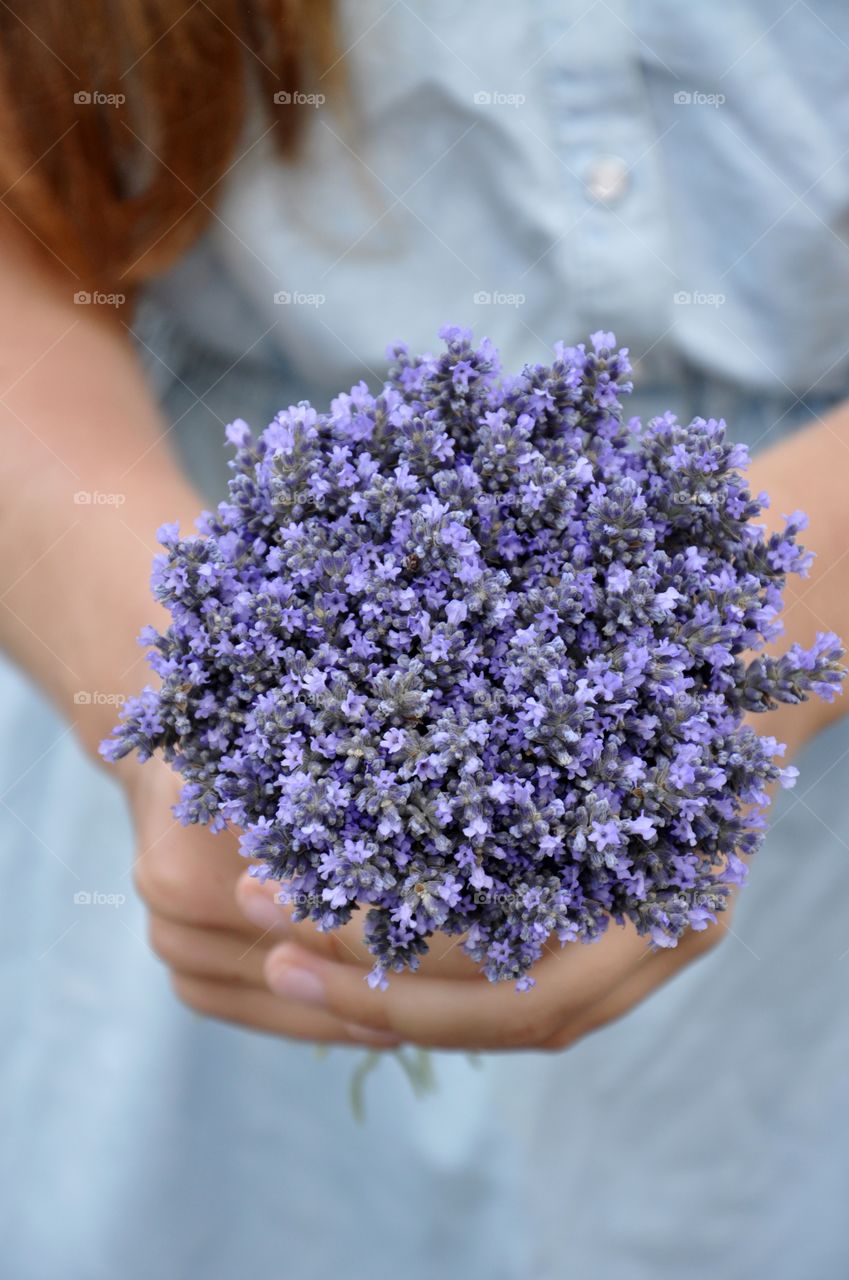Woman holding lavender bouquet