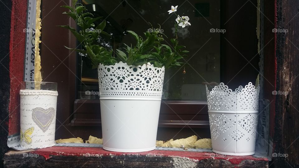 white pots on a wndowsill