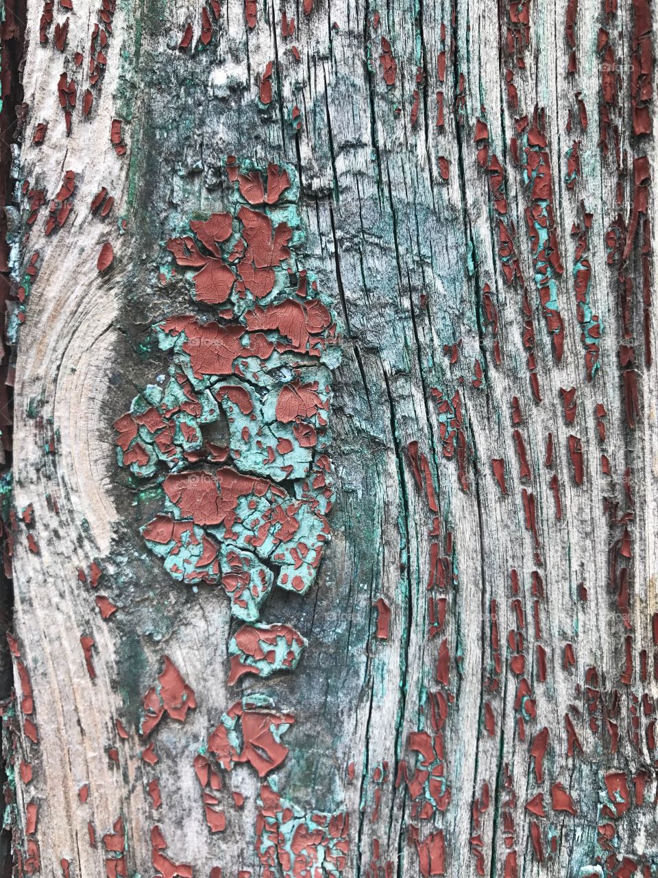 Close-up of a old weathered wood