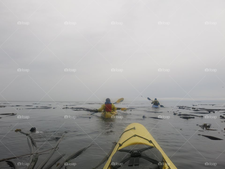 Kayaking in the fog 