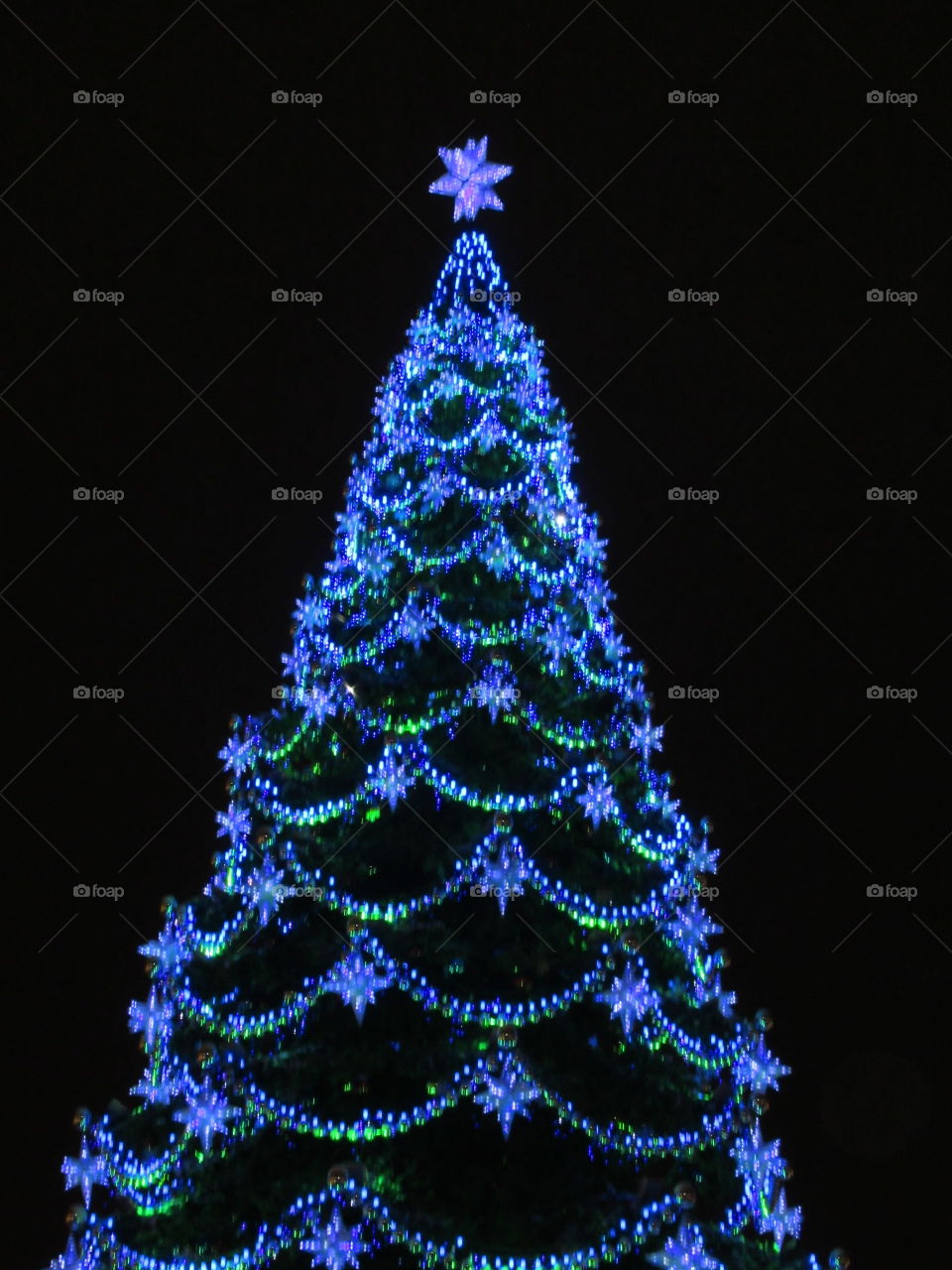 top of the Christmas tree against the dark sky