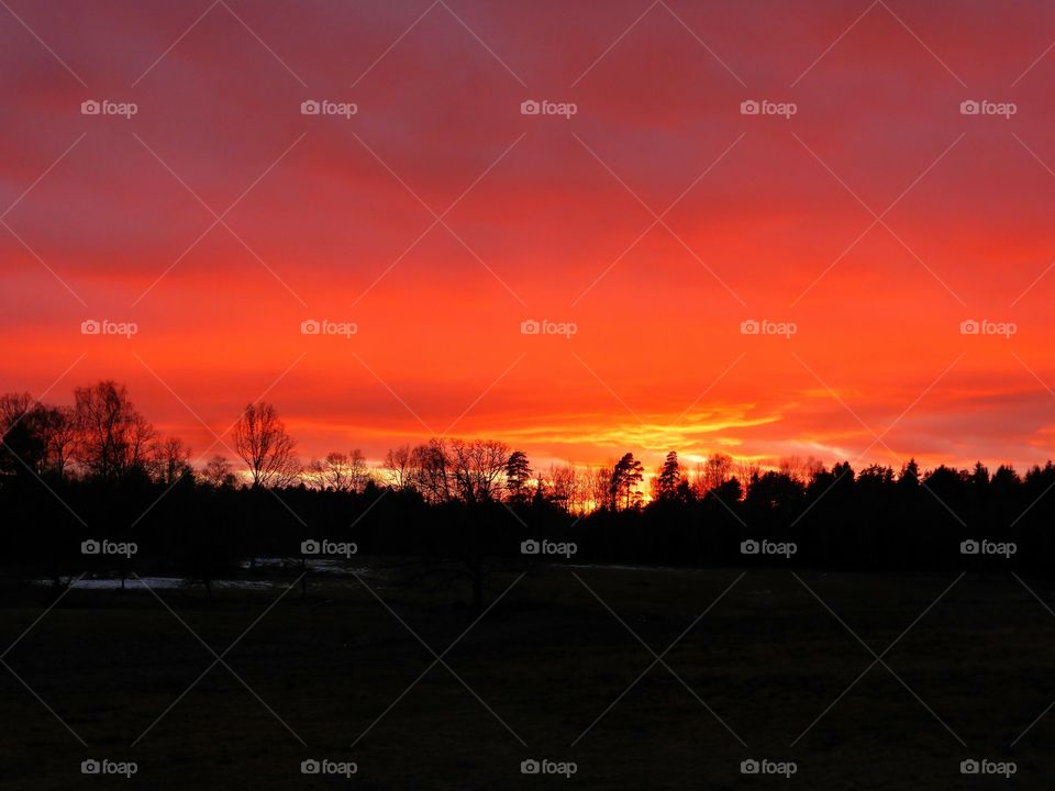 Orange colored sky at dawn