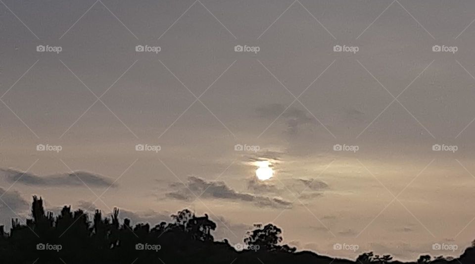 The magic touch of nature!