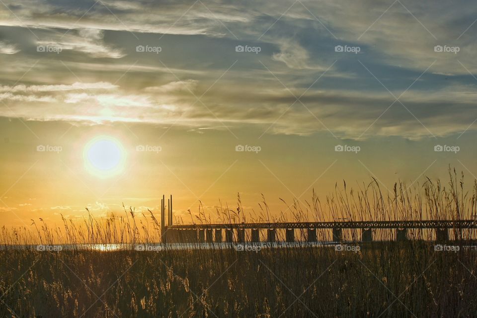 Bridge in sunset