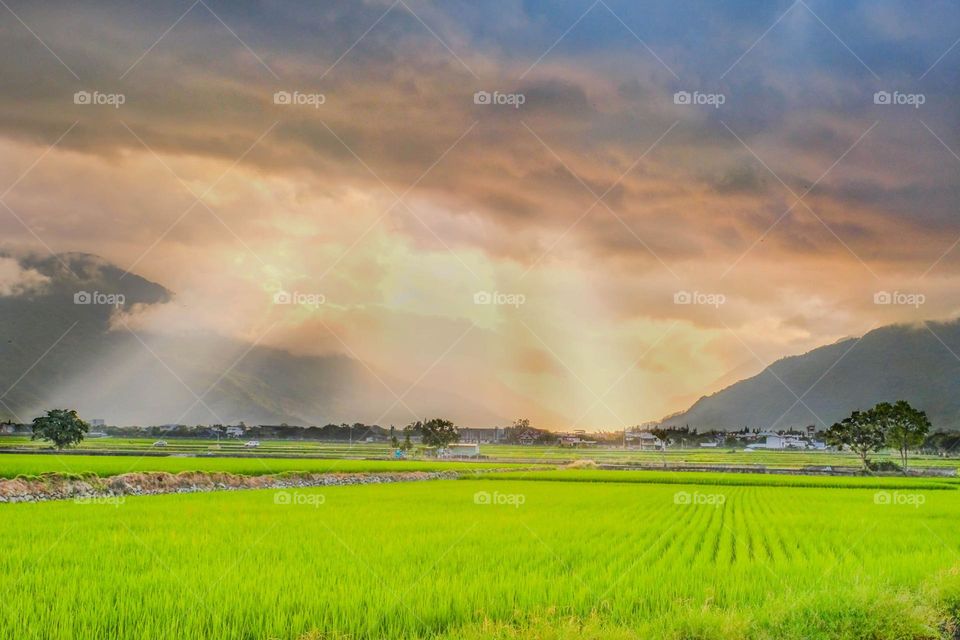 Beautiful mountain scenery and rice fields
