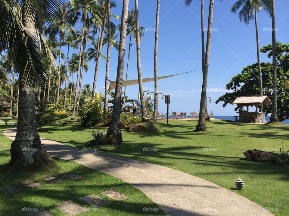 Summer in the Philippines