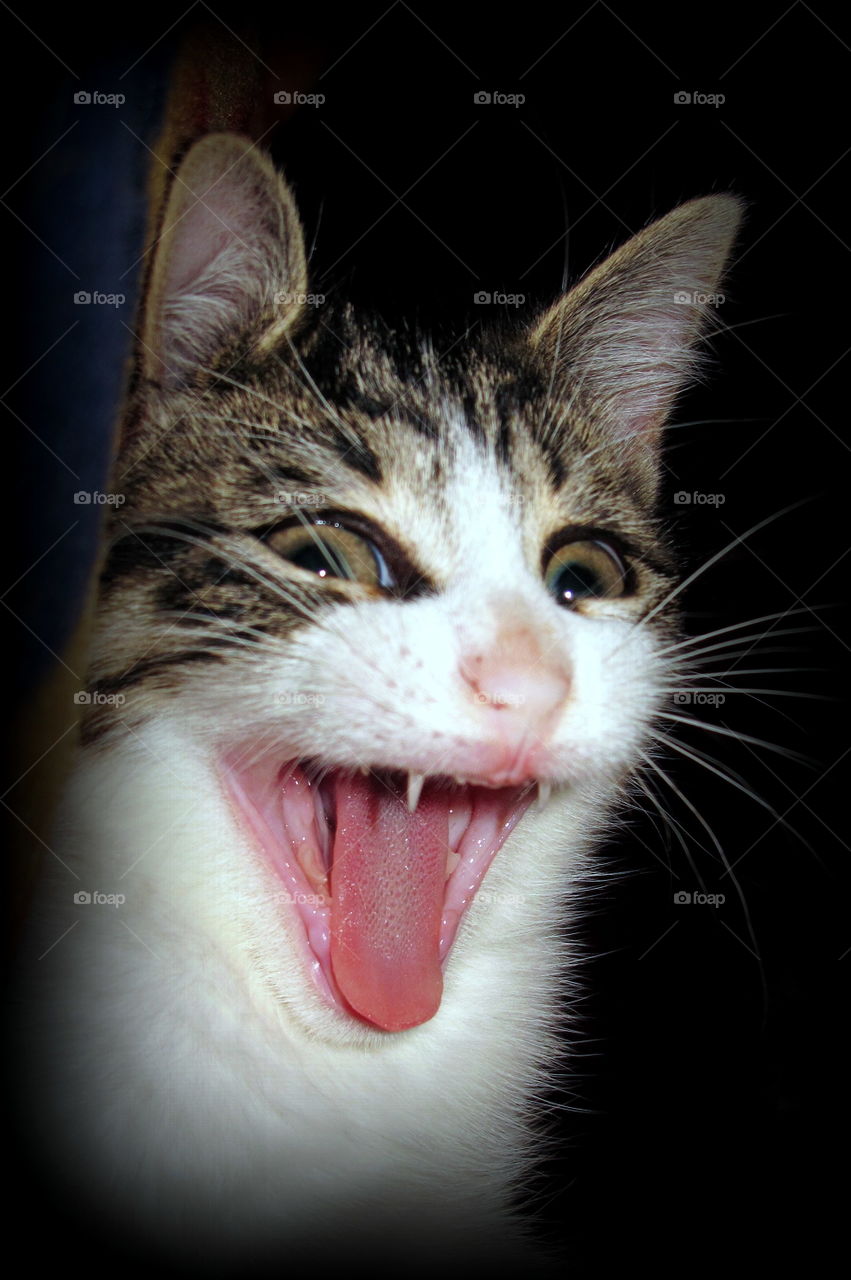 you scarde the ......out of me ! ha ha ha