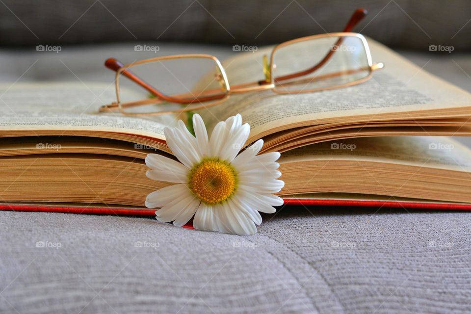 book reading glasses and flower