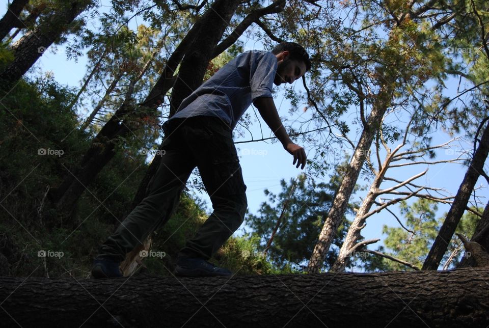 One, Wood, Tree, People, Outdoors