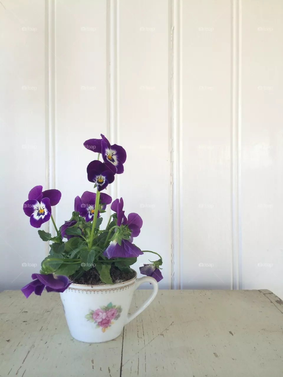 Violet