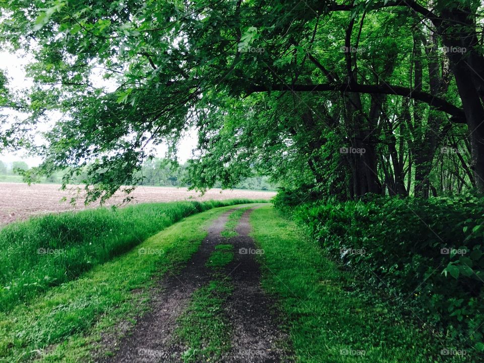 Trails and raindrops