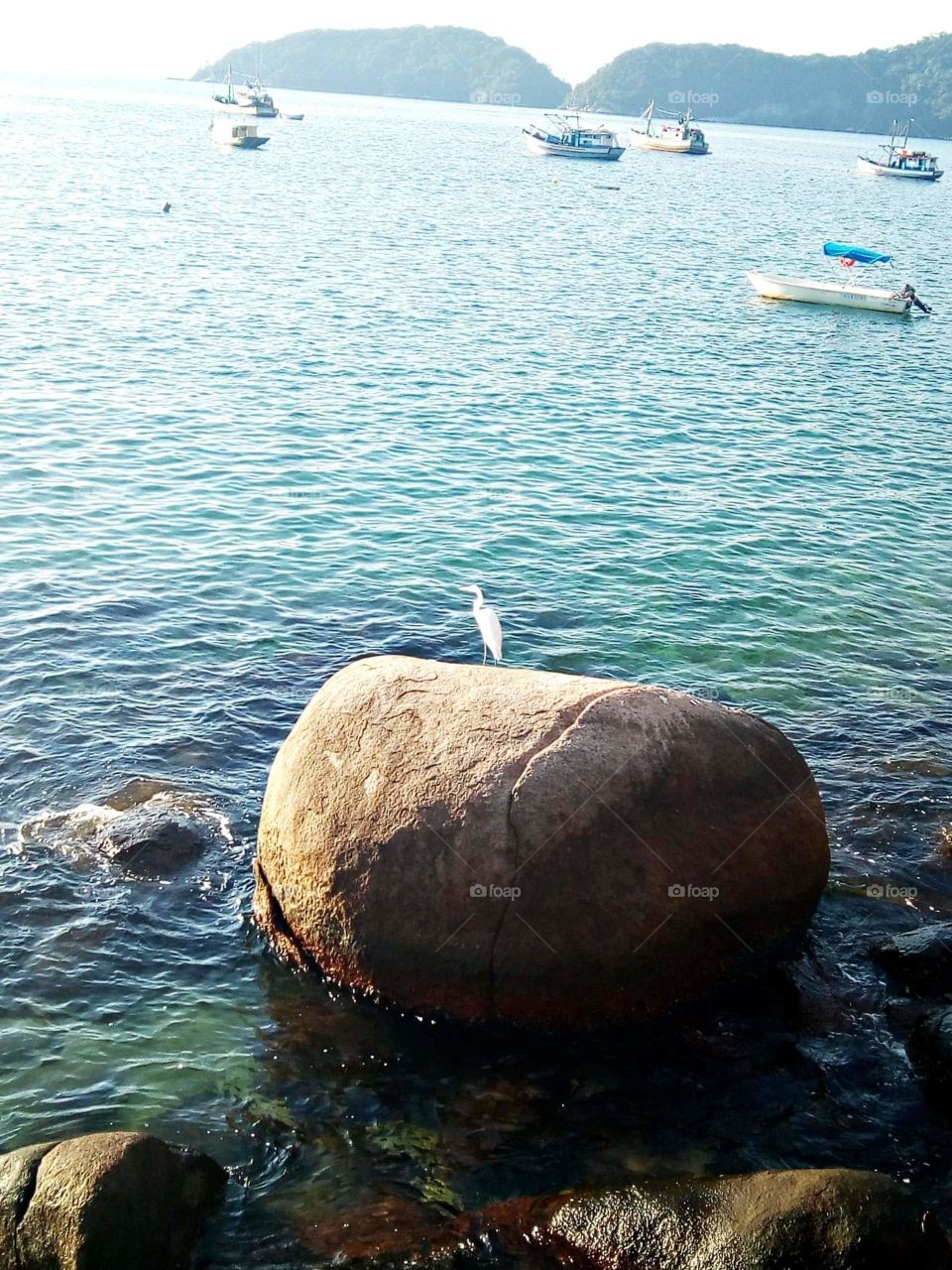 Ilha de Araçatiba RJ