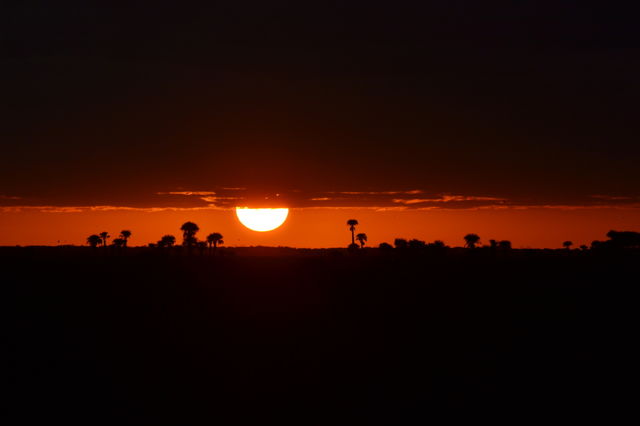 The sun setting low in the orange sky between a black cloud and the silhouette of palm tress