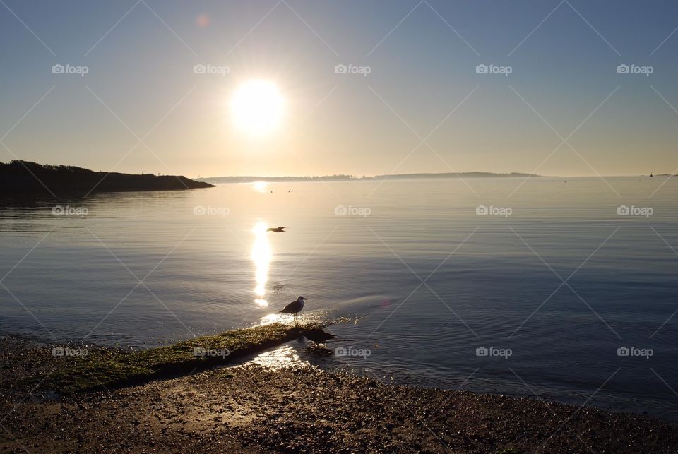 Sunlight reflecting at sea during sunrise