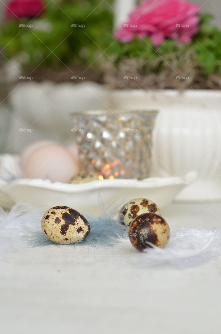 Quail eggs