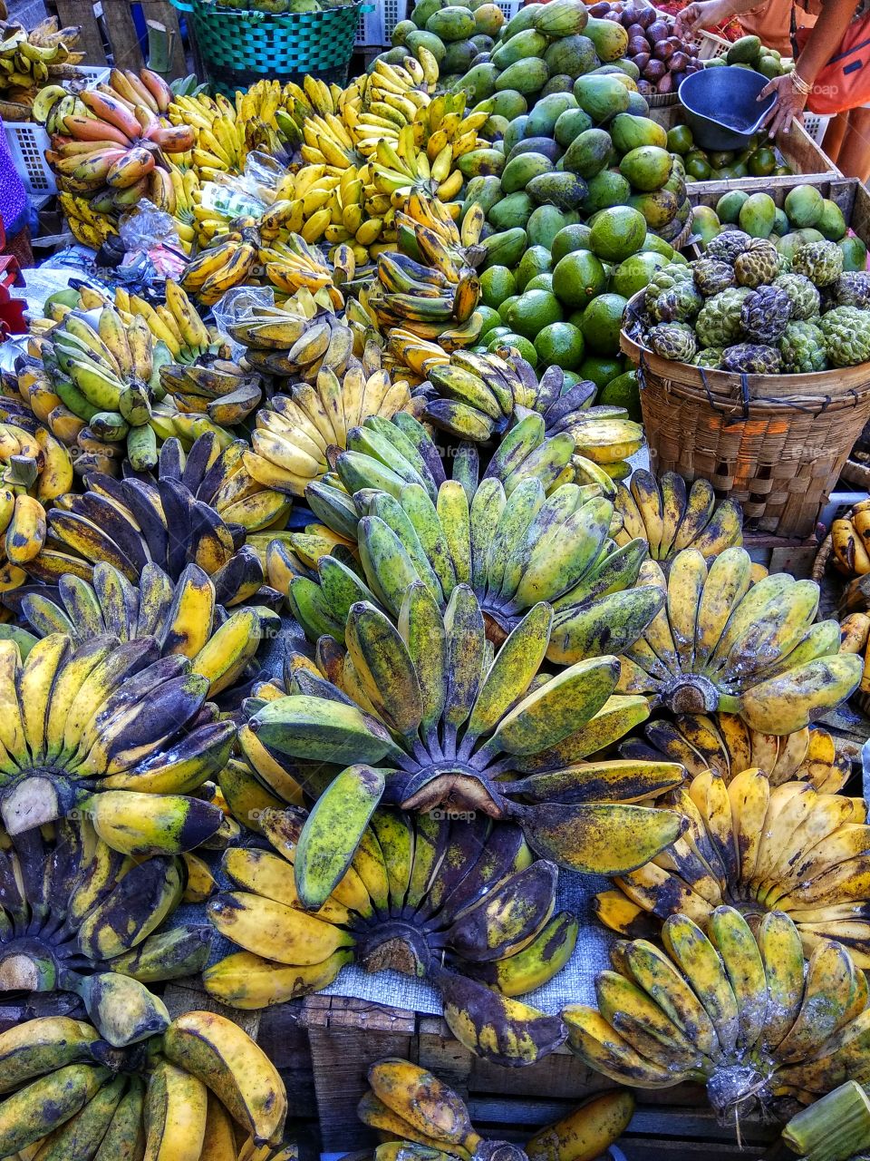 Fruits Market, Bananas Section