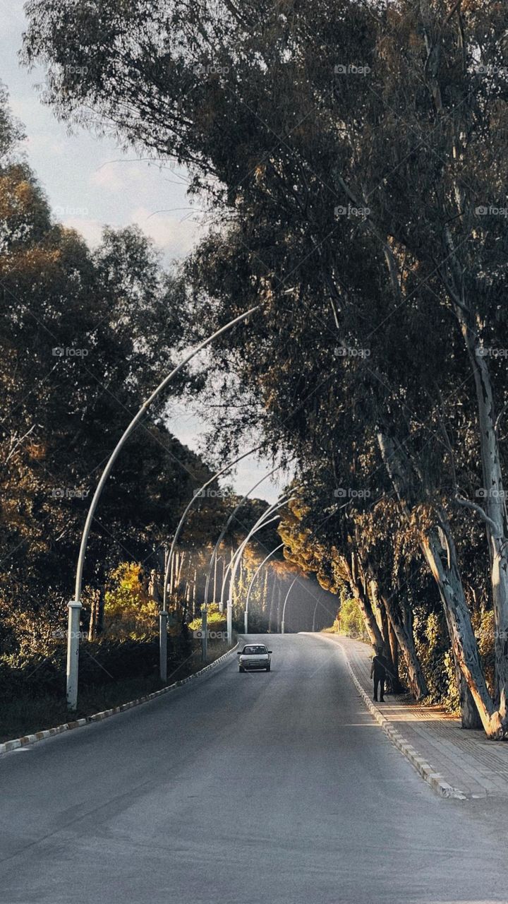 Last light of the day.