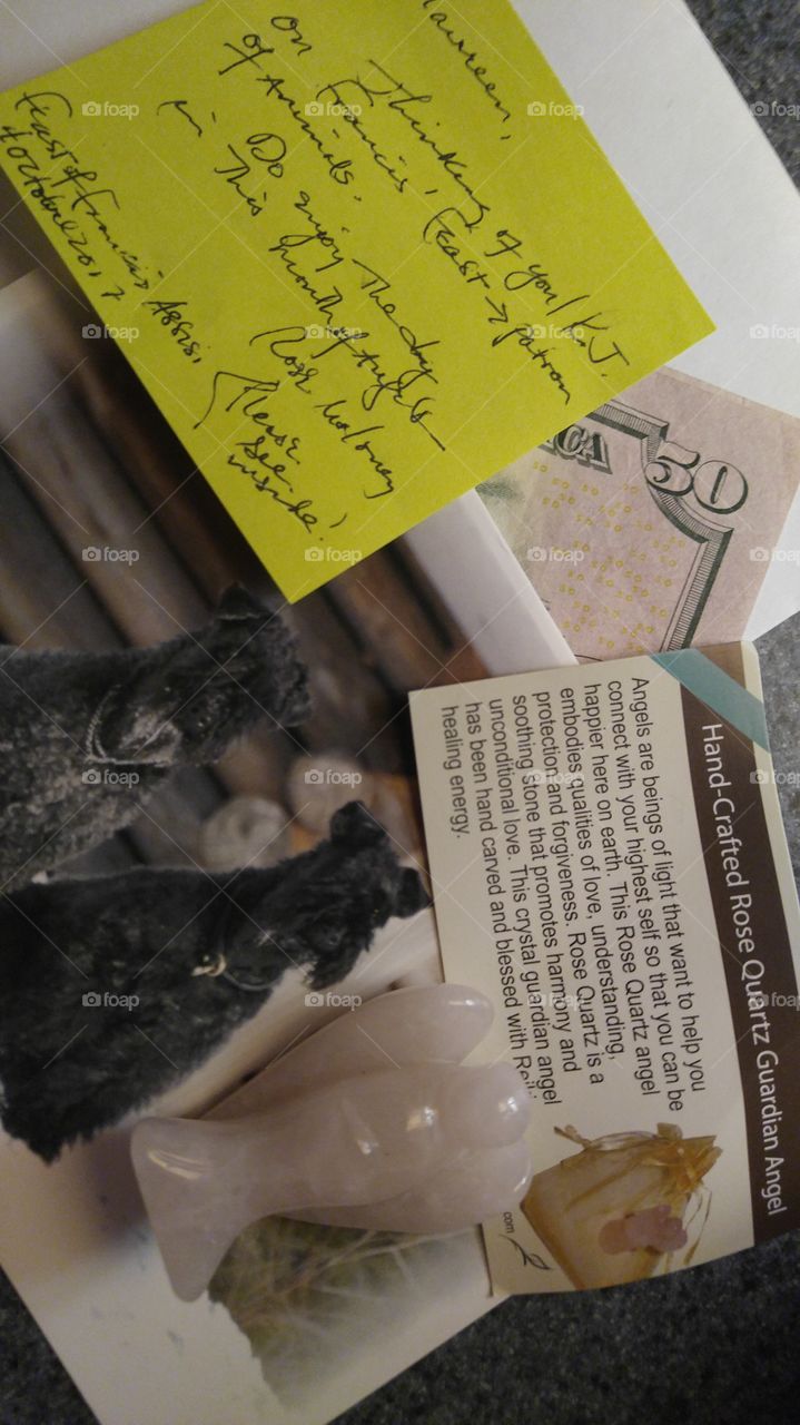 No Person, Business, Money, Paper, Administration