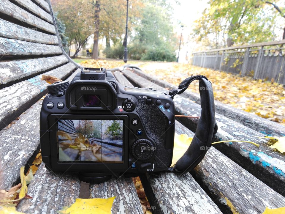 Camera on bench in autumn park