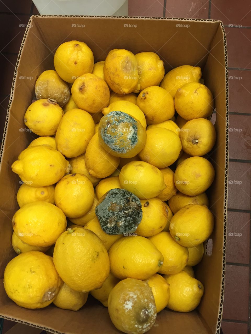 Rotten lemons 