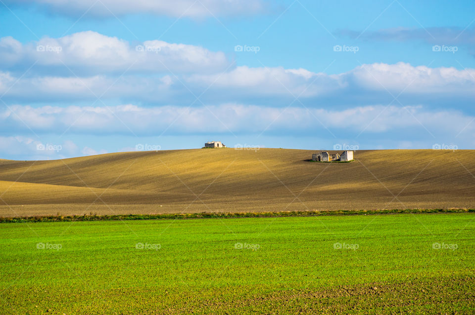 Landscape, Field, Agriculture, Farm, Rural
