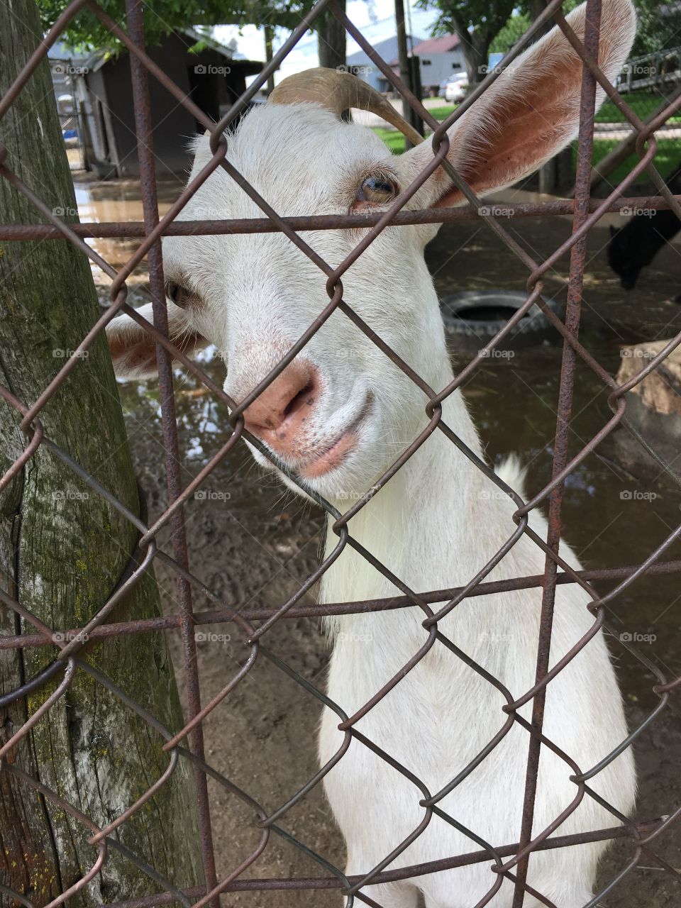 Smile for the Camera