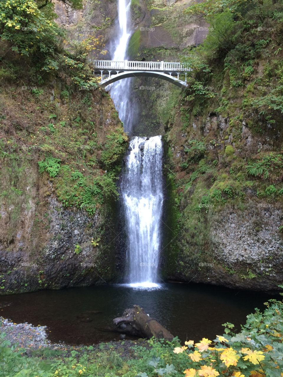 Oregon water fall