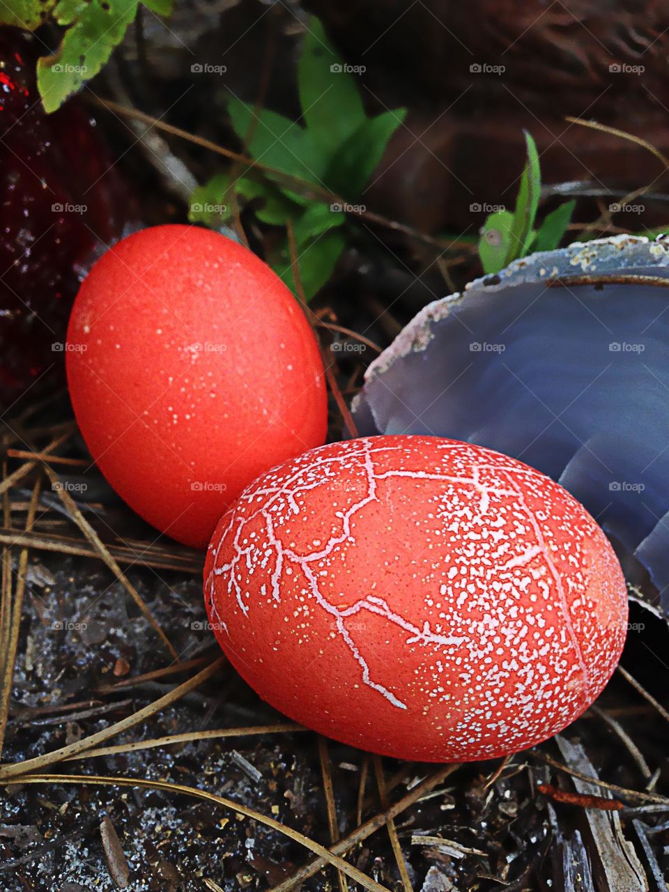 Festive colorful dyed eggs.