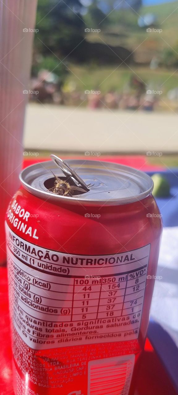 coca cola bee