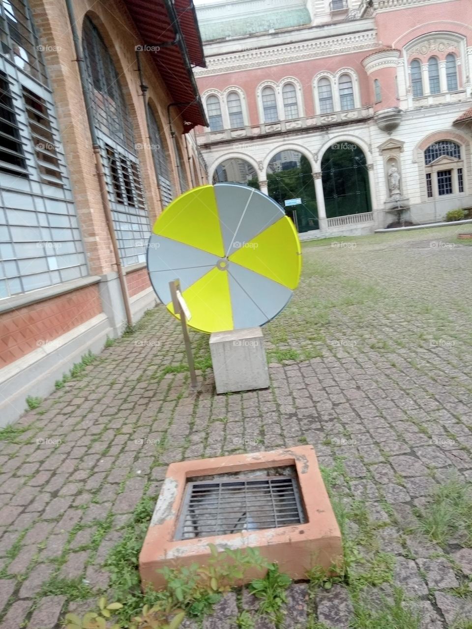 Editors'Choice Photo of the week