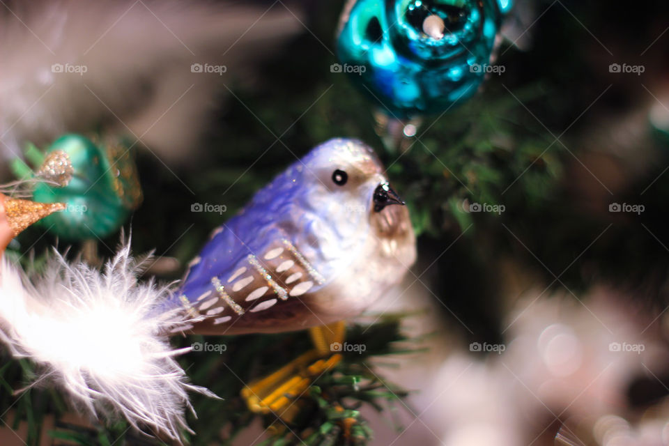 Christmastree bird