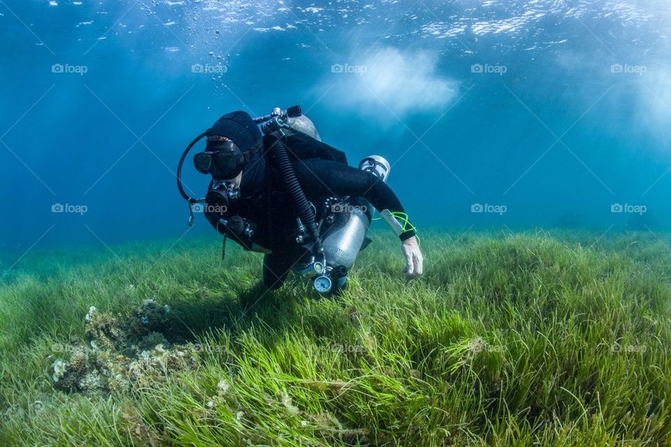 Diver in the shallows