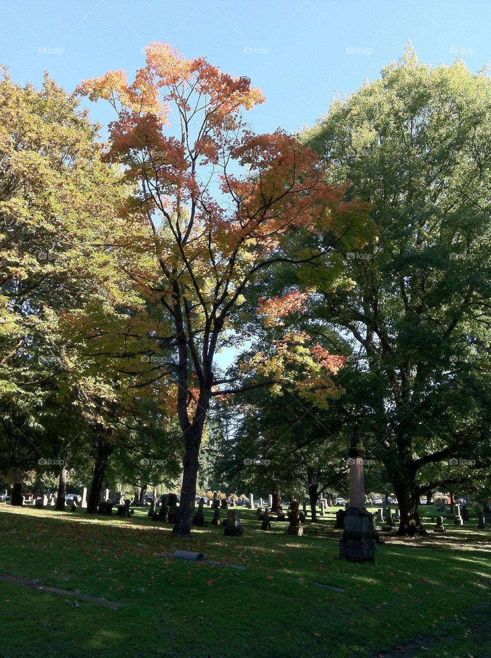 Portland cemetery in the fall