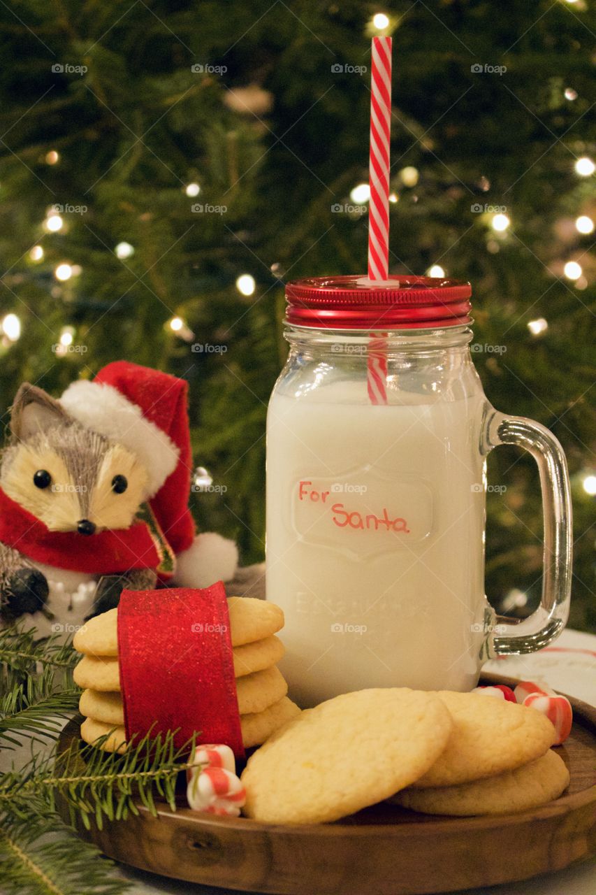 Christmas cookies for Santa 