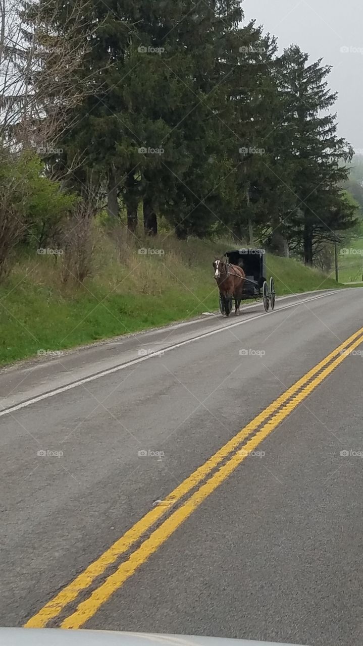 very old man in buggy