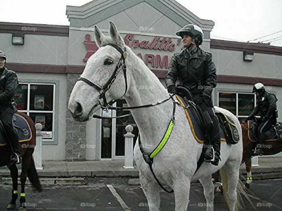 Horse mounted police, Kansas City, Missouri.