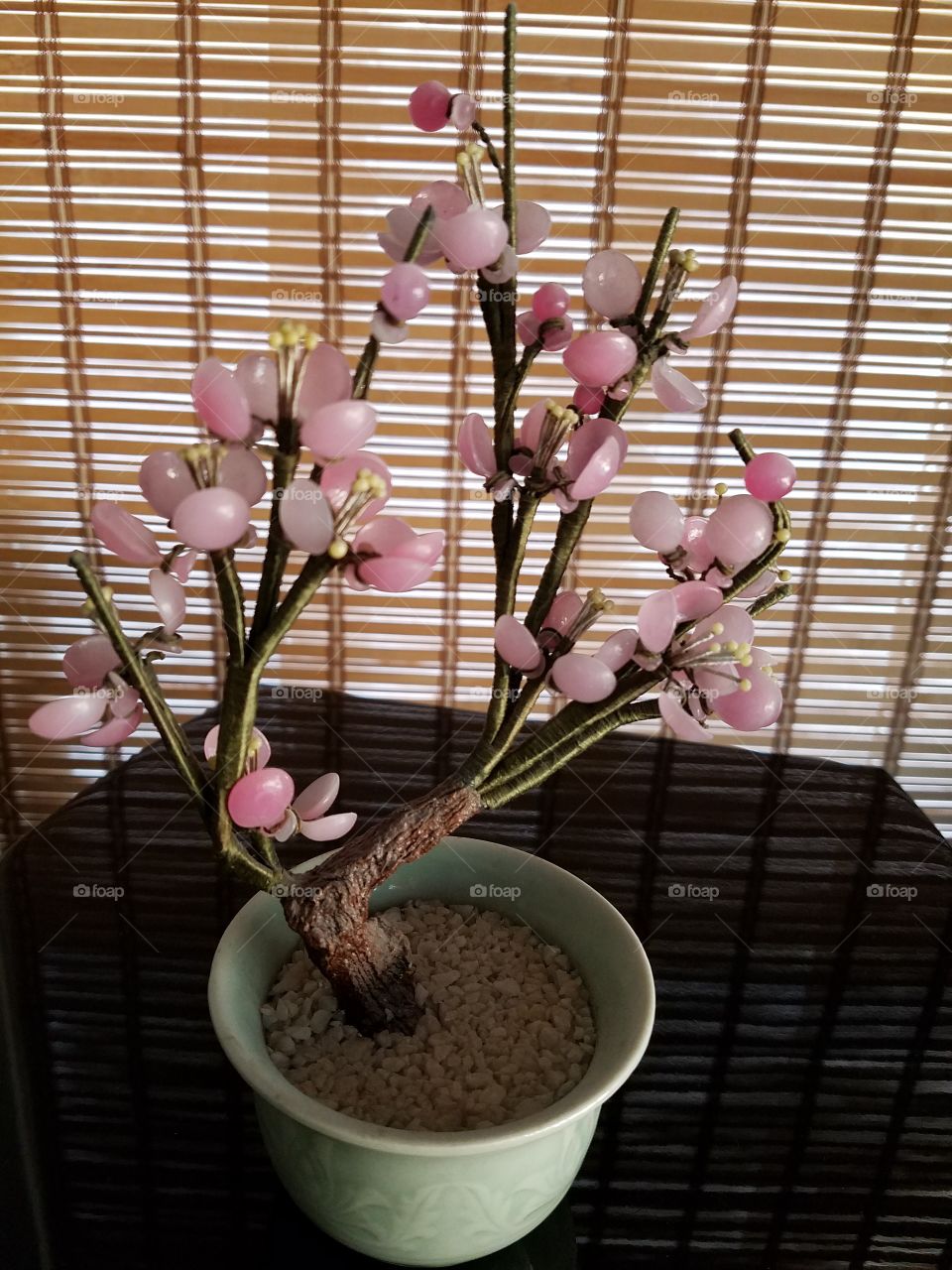 Miniature cherry blossom bonsai